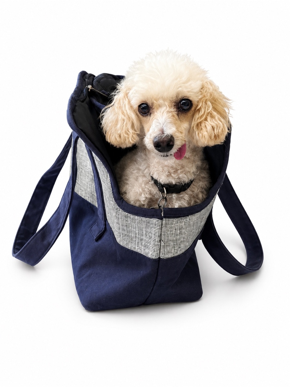 NWOT—DwellStudio Pet Carrier Tote Bag